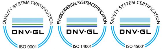 logos dnv web